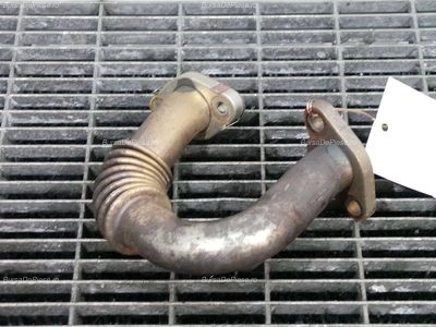 TEAVA EGR