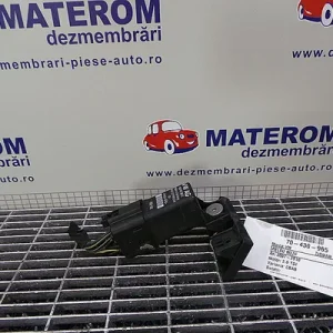 RELEU BUJII