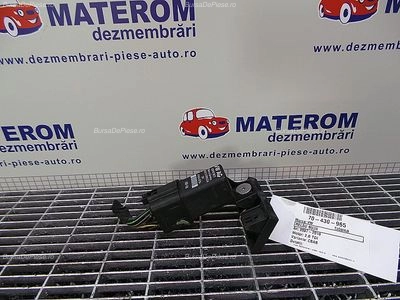 RELEU BUJII