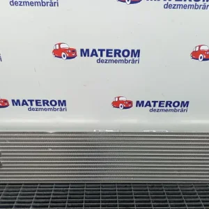 RACITOR ULEI