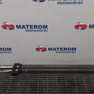 RACITOR ULEI