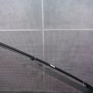 BARE PAVILION