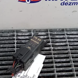 RELEU BUJII