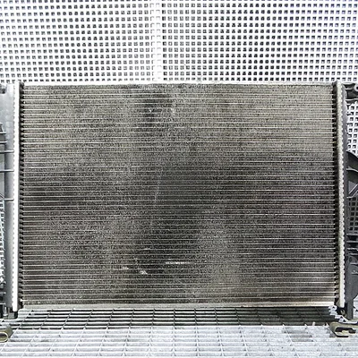 RADIATOR MOTOR