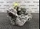 CUTIE VITEZE VOLVO XC40 1.5 T5 HYBRID 2017-2022 oe 36010492, vedere laterala