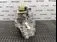 CUTIE VITEZE VOLVO XC40 1.5 T5 HYBRID 2017-2022 oe 36010492, vedere frontata