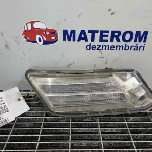 LUMINI DE ZI