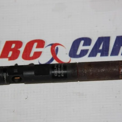 Injector RENAULT MEGANE II 2001-2012 EJBR05102D, vedere frontata