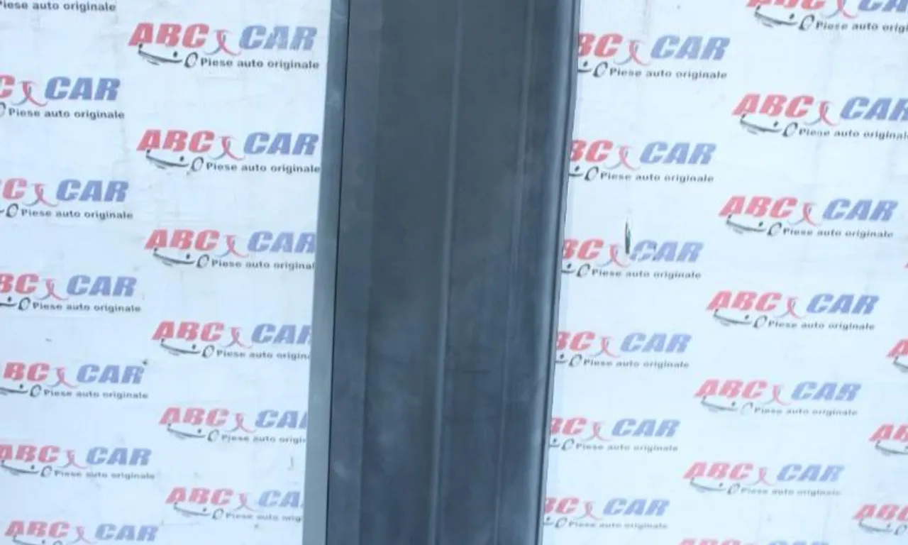 Ornament exterior usa dreapta fata VOLKSWAGEN TIGUAN 2007-2018