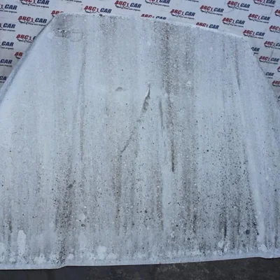 Paravant MERCEDES SPRINTER 2006-2018, vedere frontata