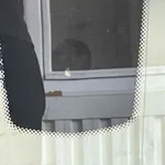 PARBRIZ BMW 4 Gran 420D 2014-2021 oe-51317285897, vedere laterala