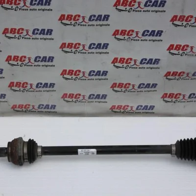 Planetara dreapta spate