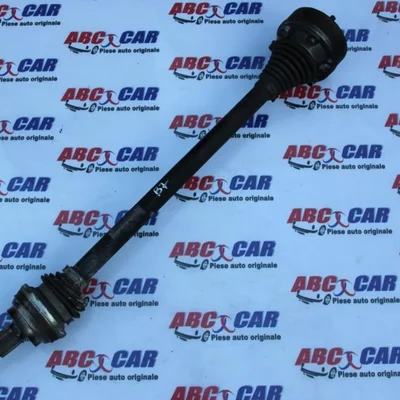 Planetara dreapta spate