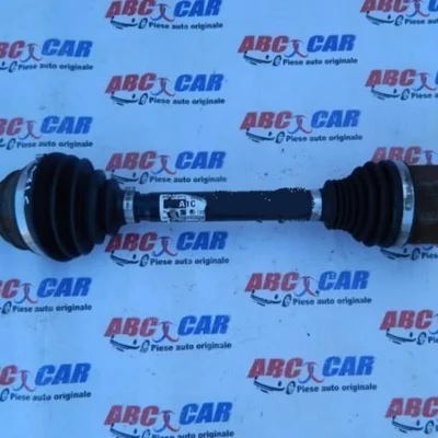 Planetara stanga fata