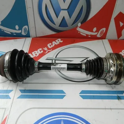 Planetara stanga fata