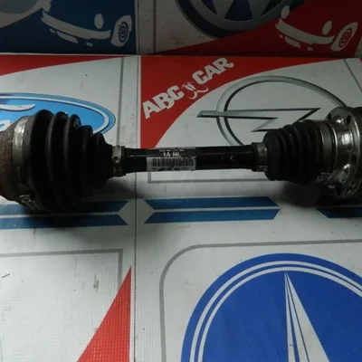 Planetara stanga fata