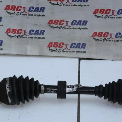 Planetara stanga fata