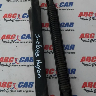 Telescoape haion stanga-dreapta MERCEDES S-CLASS 1998-2005, vedere frontata