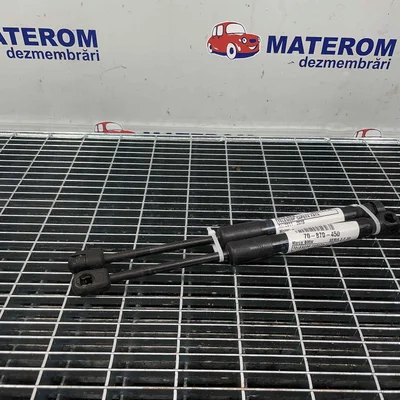 TELESCOP CAPOTA FATA