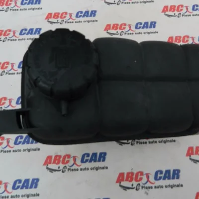 Vas expansiune MERCEDES S-CLASS 1998-2005, vedere frontata