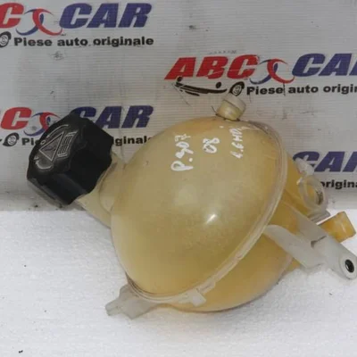 Vas expansiune PEUGEOT 307 2000-2012, vedere frontata