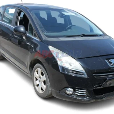 Vas expansiune PEUGEOT 5008 2009-2017, vedere frontata