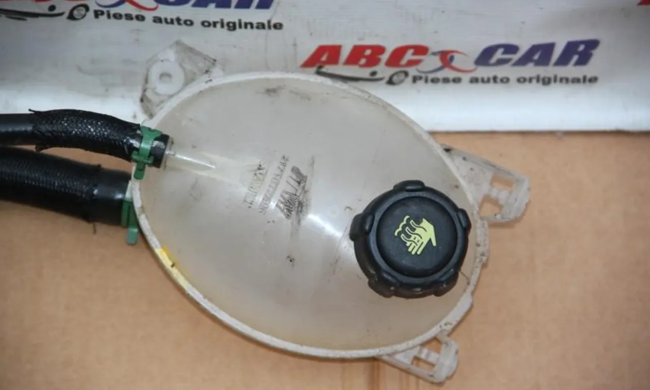 Vas expansiune RENAULT CLIO IV 2012-2021